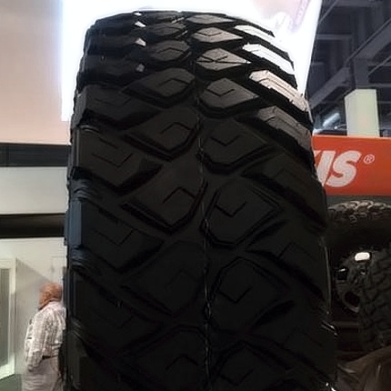 Жаңа Maxxis протекторының суреті